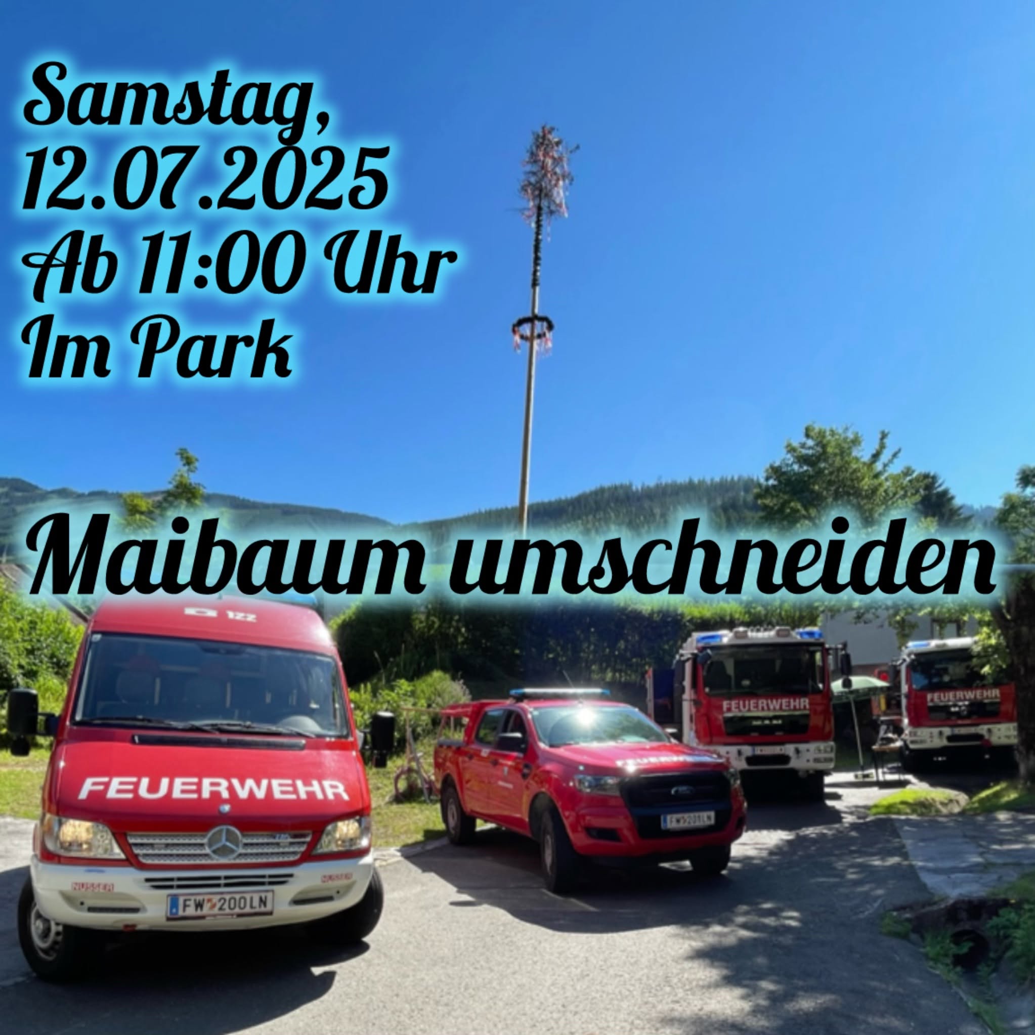 Maibaum umschneiden