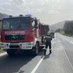 Einsätze &raquo;  Einsätze 2024 &raquo; Baumbergung B115 01.04.2024