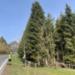 Baumbergung 01.04.2024