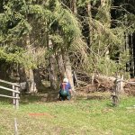 Baumbergung 01.04.2024