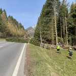 Baumbergung 01.04.2024