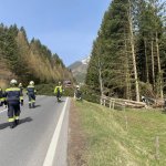 Baumbergung 01.04.2024