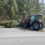 Baumbergung 01.04.2024
