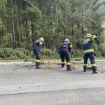 Baumbergung 01.04.2024