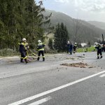 Einsätze &raquo;  Einsätze 2024 &raquo; Baumbergung B115 01.04.2024
