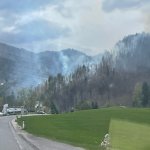 Waldbrand Großreifling 04.04.2024