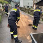 Ölbindearbeiten