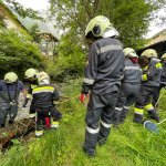 Entfernen mehrerer Verklausungen