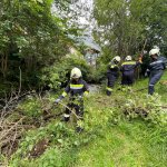 Entfernen mehrerer Verklausungen