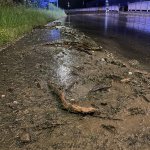 Vermurung und Überschwemmung der Hauptstraße