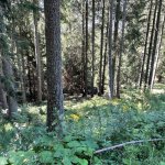 Verkehrsunfall Richtung Leobner Mauer