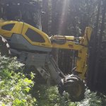 Einsätze &raquo;  Einsätze 2024 &raquo; Verkehrsunfall Richtung Leobner Mauer