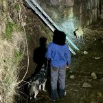 Tierrettung in der Nacht!