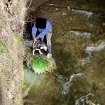 Einsätze &raquo; Einsätze 2025 &raquo; 15.04.25 Tierrettung in der Nacht!