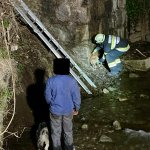 Einsätze &raquo; Einsätze 2025 &raquo; 15.04.25 Tierrettung in der Nacht!