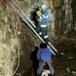 Tierrettung in der Nacht!