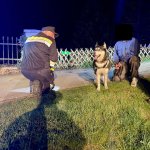 Tierrettung in der Nacht!