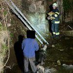 Tierrettung in der Nacht!