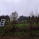 Abschnittsübung 2024