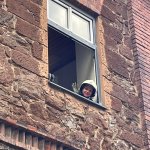 Personenrettung aus Höhen 03.07.2024