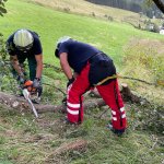 Motorsägen Schulung 31.07.2024