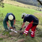 Motorsägen Schulung 31.07.2024