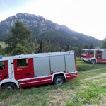 Übungen &raquo; Übungen 2024 &raquo; Motorsägen Schulung 31.07.2024